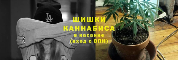 стаф Павлово