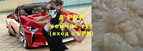 стаф Павлово