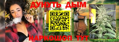 индика Беслан