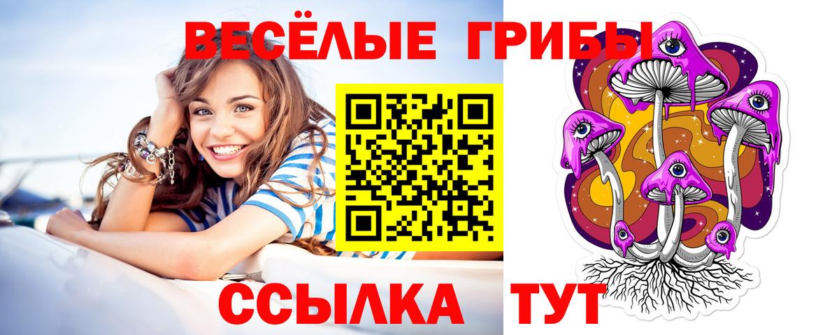 где купить   Галлюциногенные грибы прущие грибы  Вход с VPN  Каменск-Уральский 